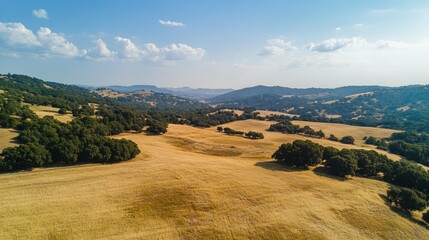 Obraz premium Aerial landscape showcasing golden rolling hills under a sunny sky with distant mountains and scattered trees in a serene countryside setting.