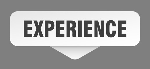 experience sticker. experience sign isolated on gray background