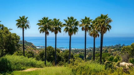 Tropical palm trees overlooking a serene ocean view with lush greenery in the foreground showcasing a vibrant coastal landscape.
