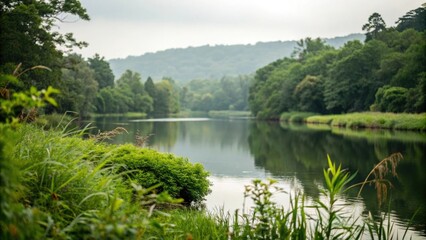 Soft focus on a serene body of water with lush surrounding greenery, serene, lake, blur, nature