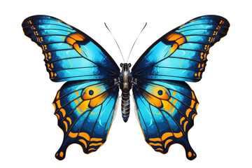 Delicate Butterfly in Resting Pose Isolated on White Cut-Out