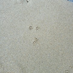 footprint on sand