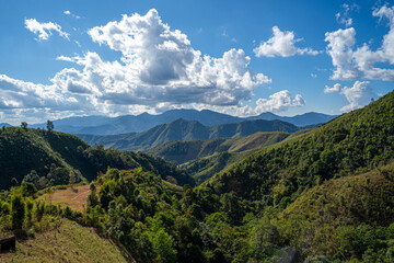 Naklejka premium landscape with sky