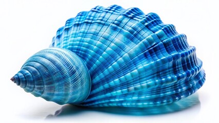 Obraz premium Blue Seashell Emblem Isolated on White Background - Perfect for Summer Designs