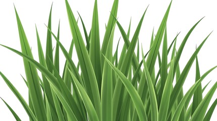 Obraz premium Fresh green grass blades on a clean white background, generative ai