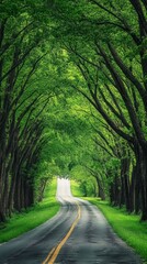 Fototapeta premium Peaceful road lined with vibrant green trees forming a natural archway