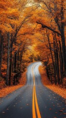 Obraz premium Serene road curving through colorful autumn trees