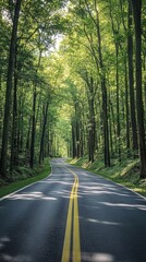 Fototapeta premium Peaceful road curving through a dense, sunlit forest
