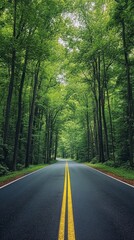 Peaceful road stretches through a dense, vibrant green forest
