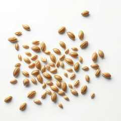 pumpkin seeds scattered on a white surface with varying degrees of size and orientation,  food,  botanicals,  pumpkin,  vegetable seeds,  sprouts