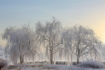 bizarre winterromantik