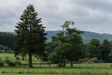 Green landscape with agricutlure fields and houses at the Belgian countryside