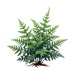 Starlight Ferns – Ferns with tiny silver dots on their leaves that sparkle like stars