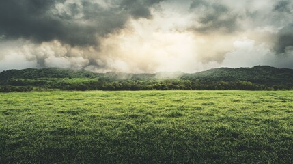 Dramatic storm clouds gathering over lush green field nature landscape rural environment atmospheric viewpoint tranquility concept