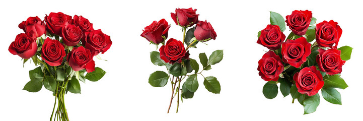 Obraz premium Set of A close-up shot of a red rose bouquet, each petal glistening with dew drops on transparent png background. Ai generated