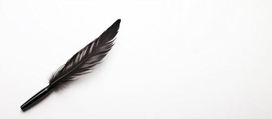 Elegant black feather on white background with ample empty space for creative text or branding applications.