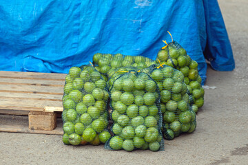 Green Tomatoes in Sacks at Farmers Market Autumn Day