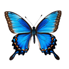 Vibrant Blue Butterfly Isolated on Transparent Background.