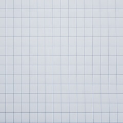 Clean white graph paper with light blue grid lines in soft neutral lighting representing minimalism and professionalism