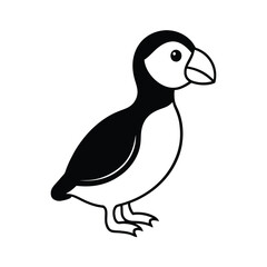 vector illustration of a bird
