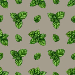 Seamless Pattern Fresh Mint Small Design on Pastel Gray Background