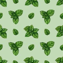 Obraz premium Seamless Pattern Fresh Mint Small Design on Pastel Green Background