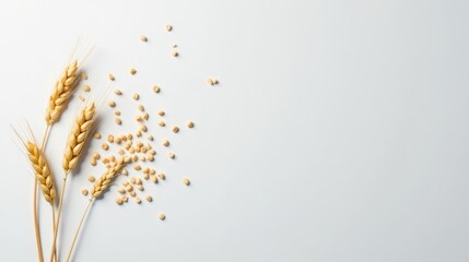 Golden Wheat Stalks and Scattered Grains on a Light Background, Symbolizing Abundance and the Harvest Season