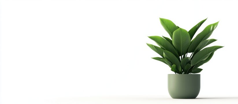 Fototapeta Green plant pot isolated on white background with ample copy space for text highlighting modern decor and interior design themes