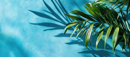 Obraz premium Vibrant green palm leaves casting shadows on a blue background creating a calm and refreshing atmosphere with space for text input