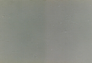 200 ISO 35mm Real Film Grain Texture