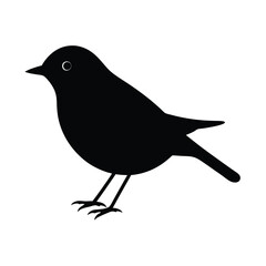 crow on a white background