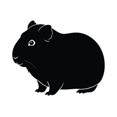 black rat on white background