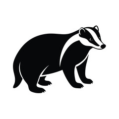 vector illustration of a bear