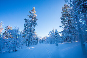 Winter landscape in Pallas Yllastunturi National Park, Lapland, Finland