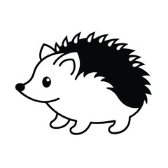 hedgehog on a white background
