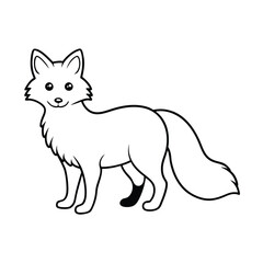 black and white fox
