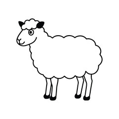 illustration of sheep