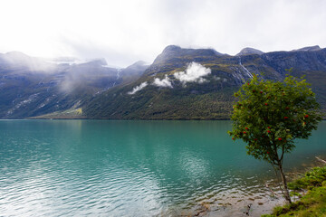 Autumn landscape in Lovatnet lake valley in south Norway, Europe