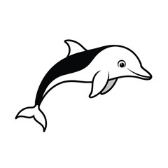 dolphin isolated on white background