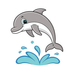 dolphin isolated on white background