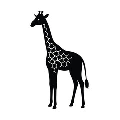 giraffe illustration