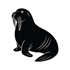 sea lion on the beach