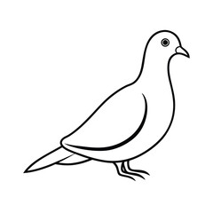 white dove silhouette