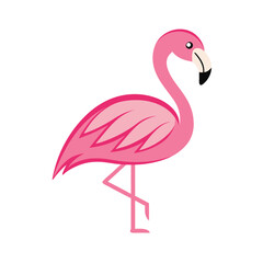 pink flamingo isolated on white
