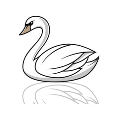 black swan vector