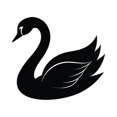 black swan vector