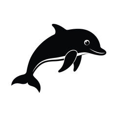 dolphin isolated on white background