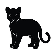 black cat isolated on white