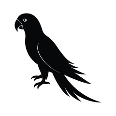 eagle on a white background