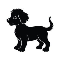 black and white puppy